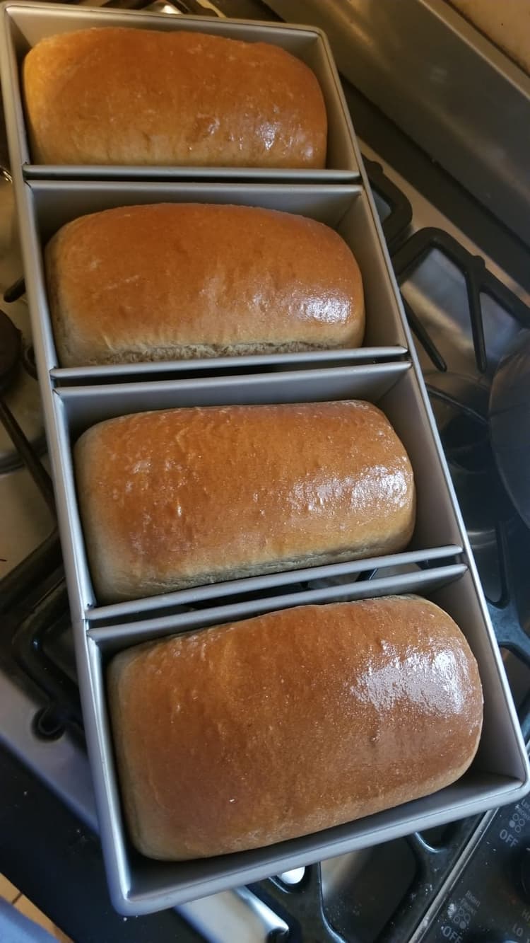 Nice pans
